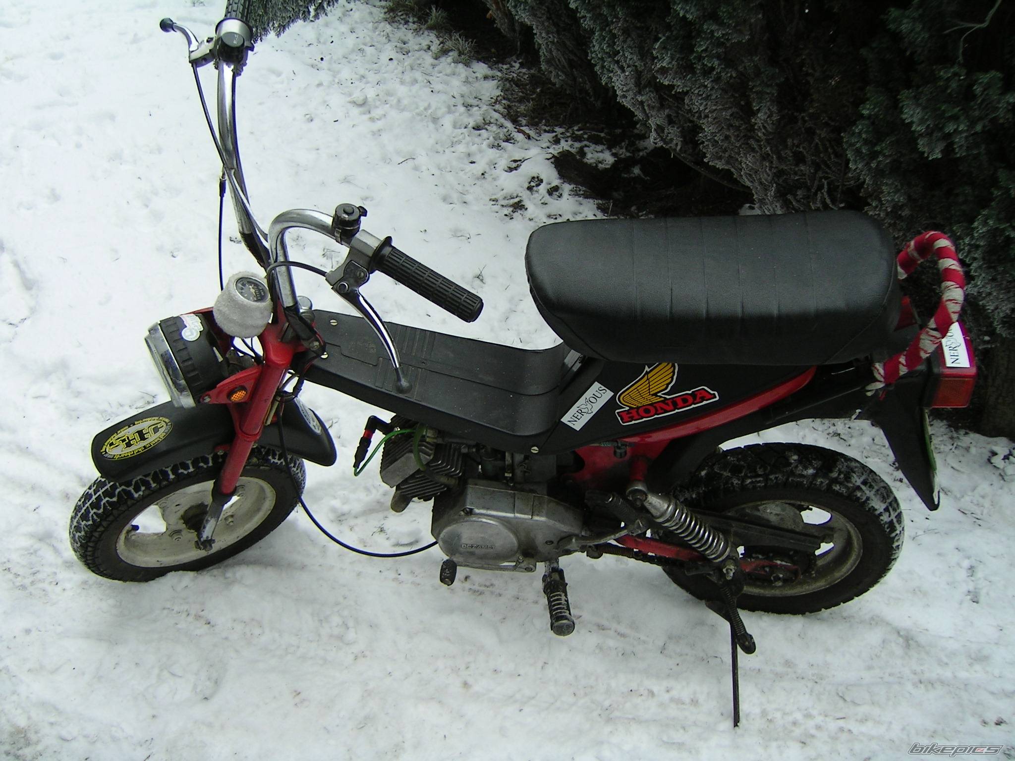 Bike Photo 281570