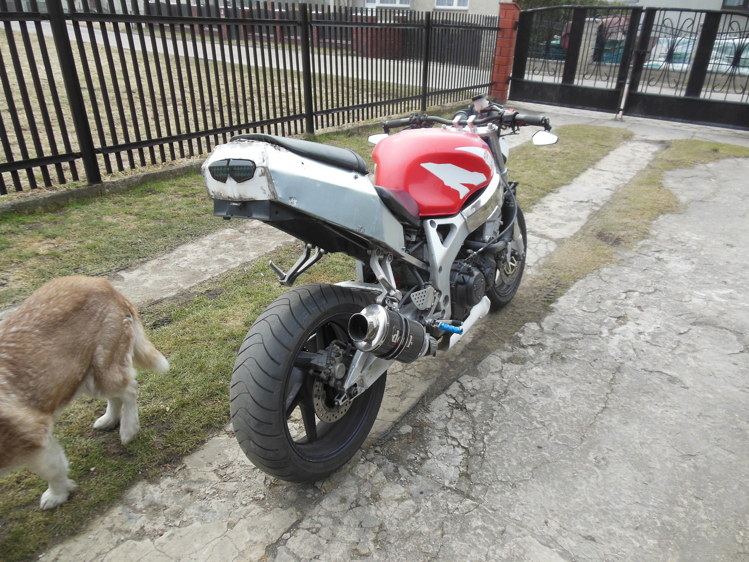 Photo 2815722