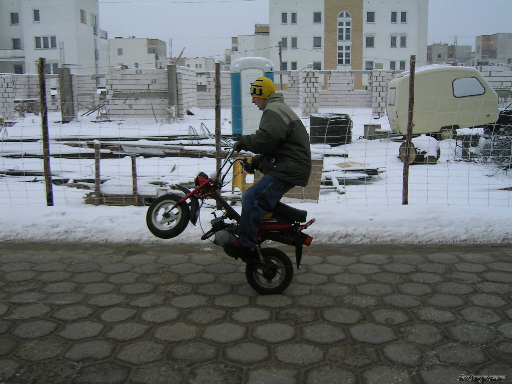 Photo 281574