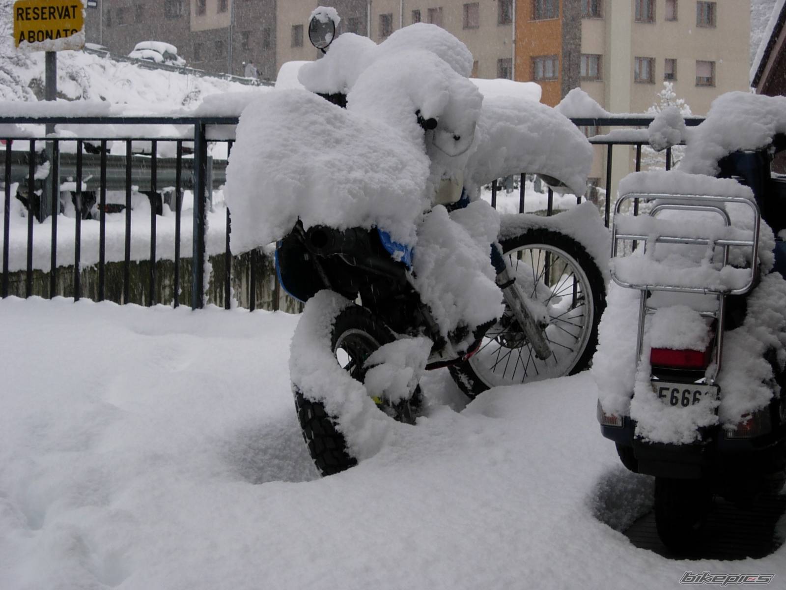 Bike Photo 281597
