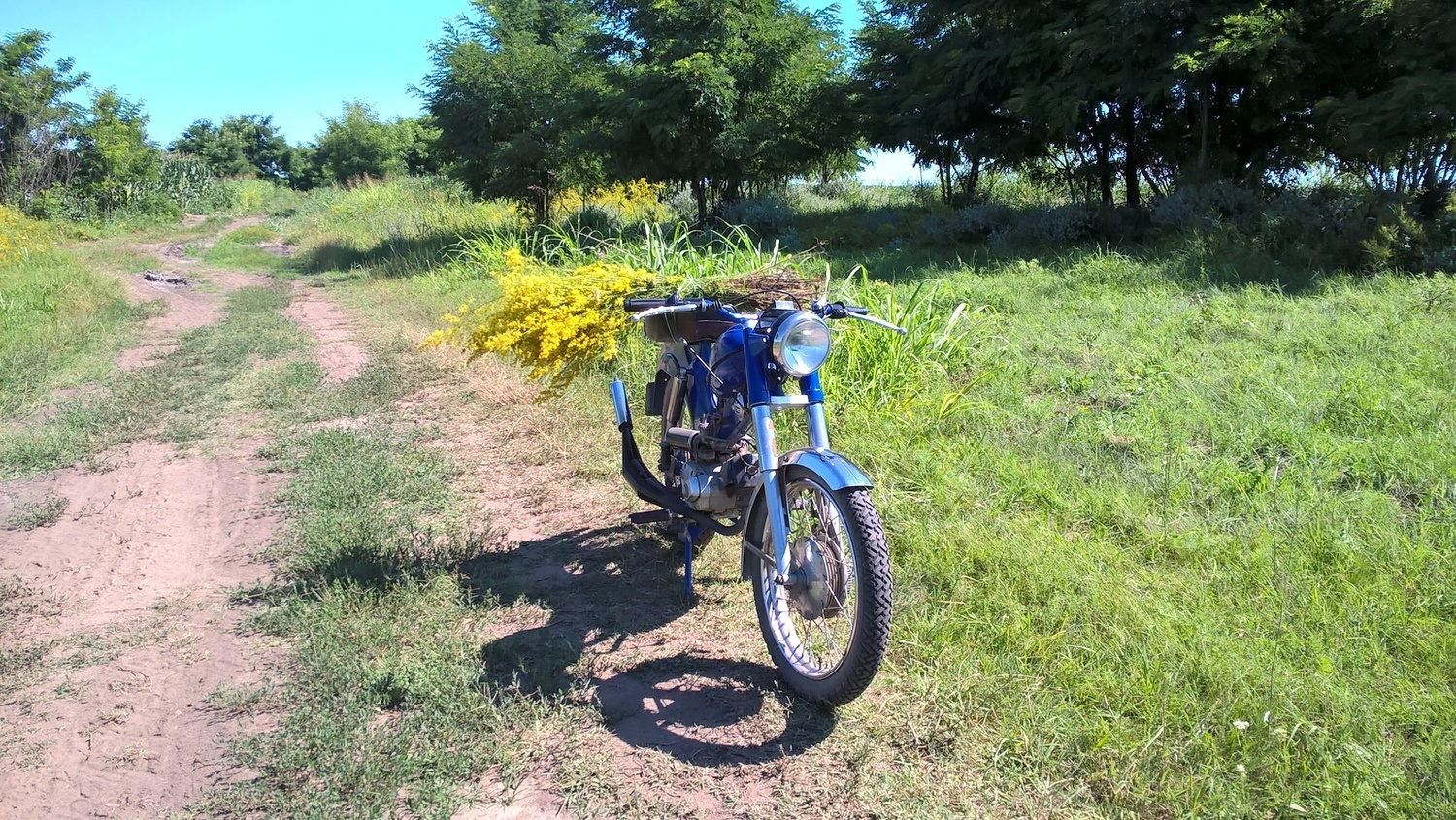 Photo 2816041