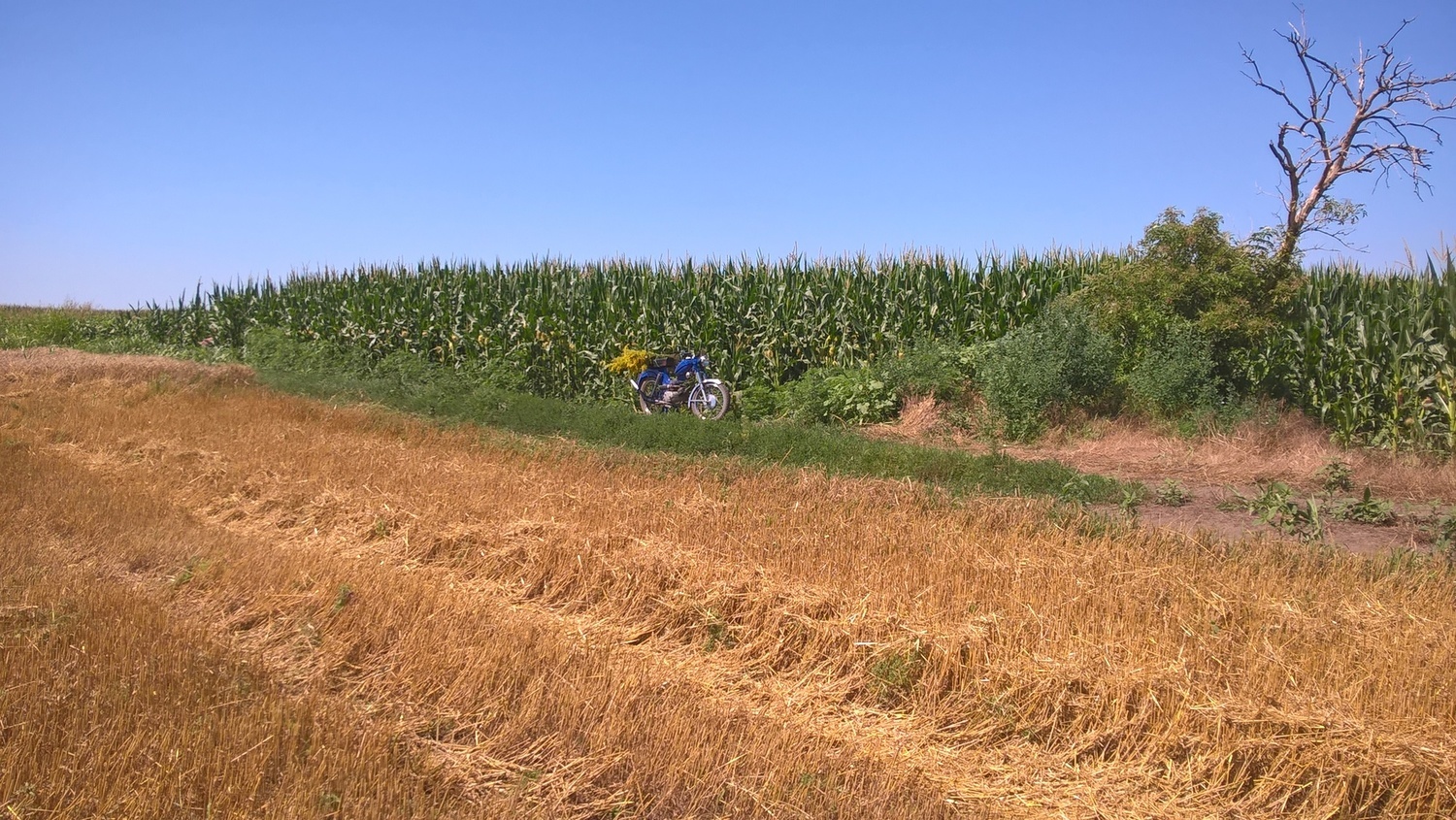 Photo 2816042