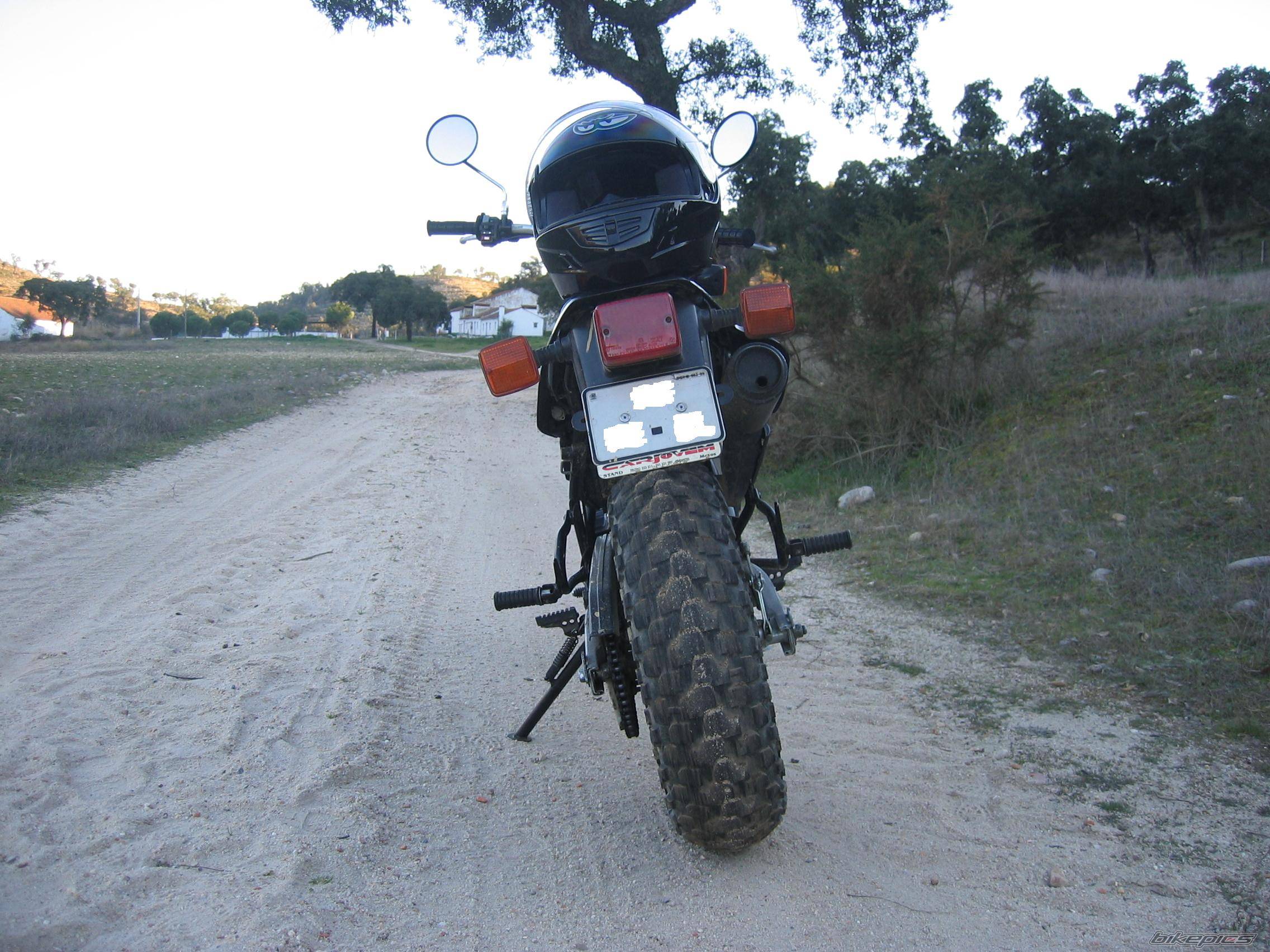 Photo 281622