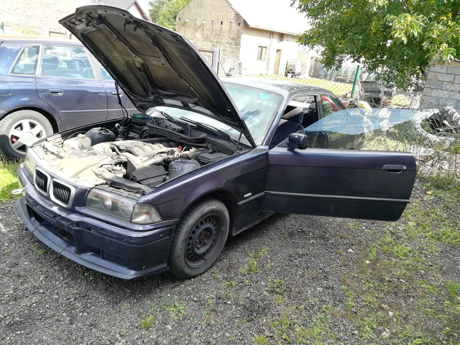 Photo 2816225