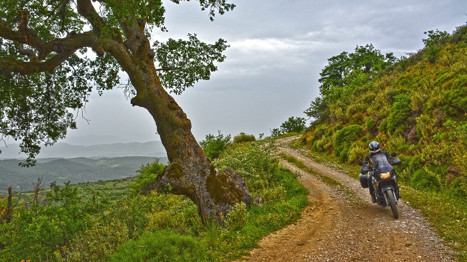 Bike Photo 2816406