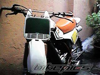 Photo 281652