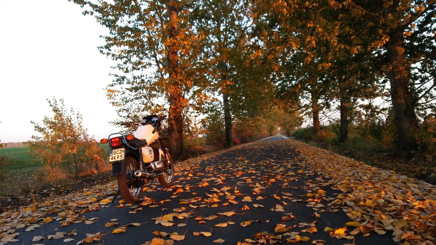 Photo 2816544