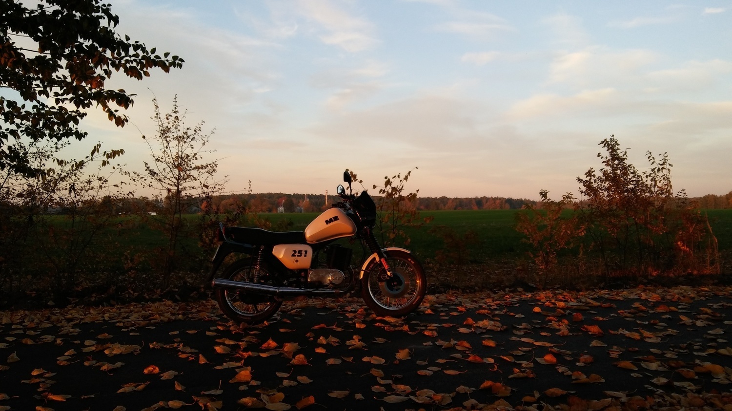 Photo 2816545