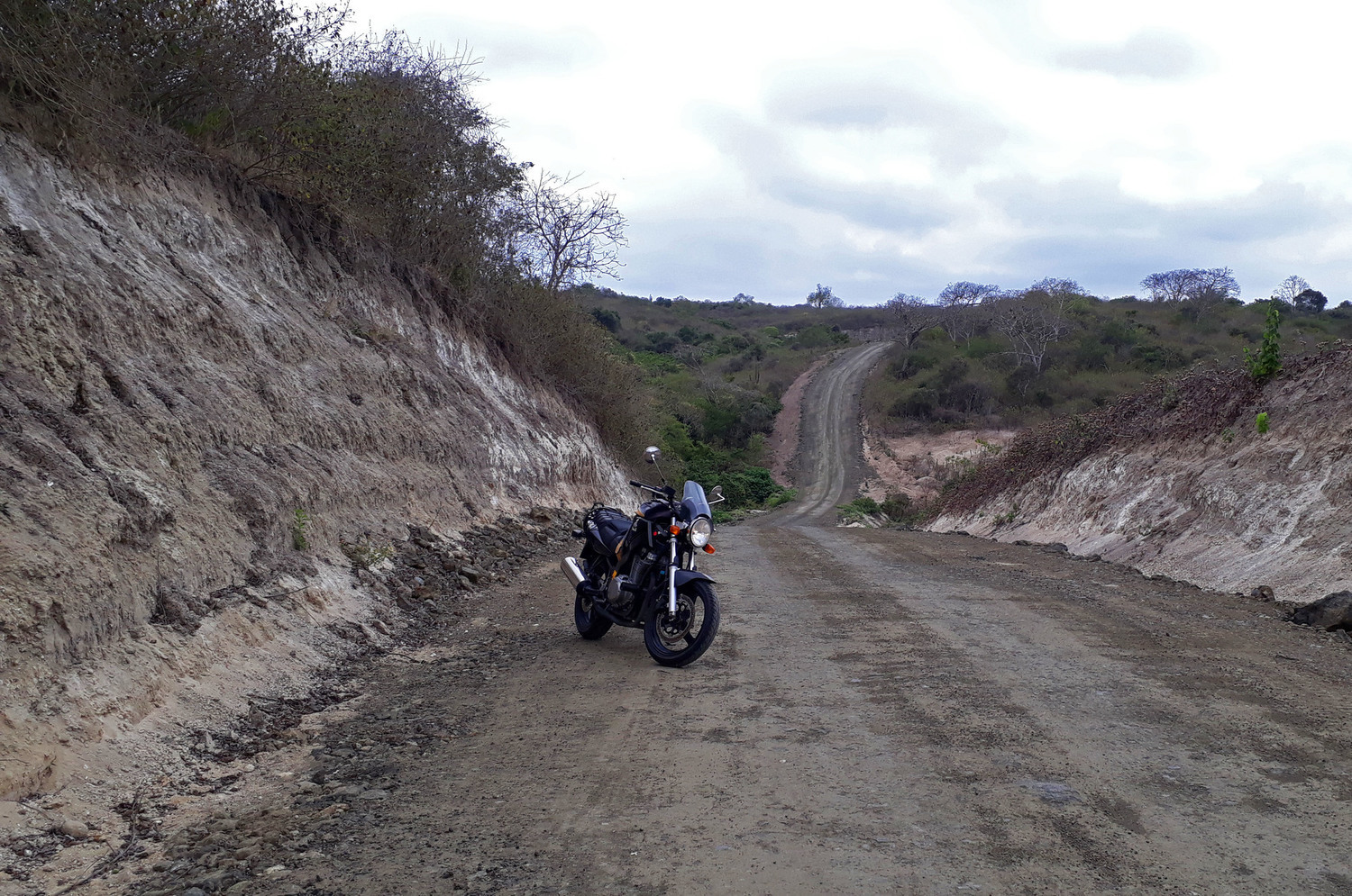 Bike Photo 2816602