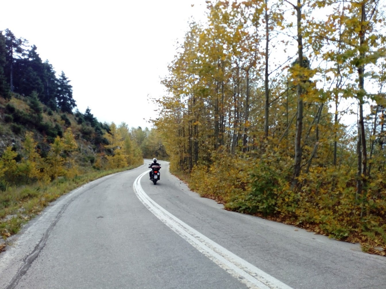 Photo 2816614