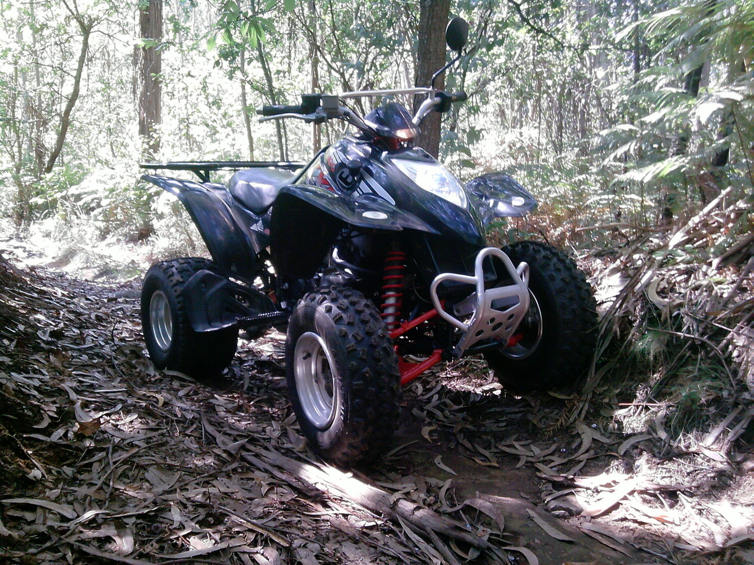 KXR 250