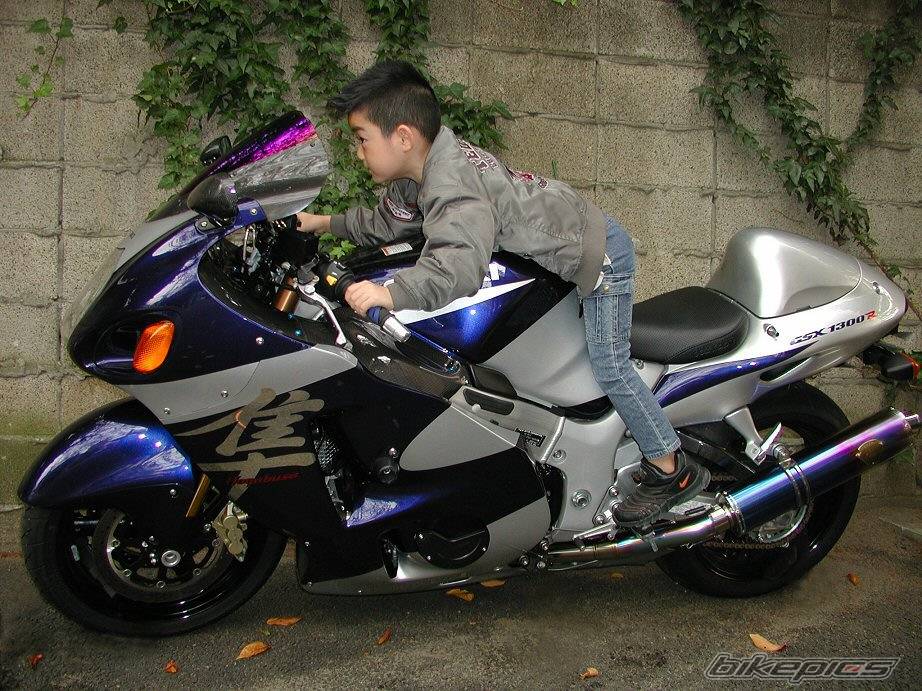 Photo 281672