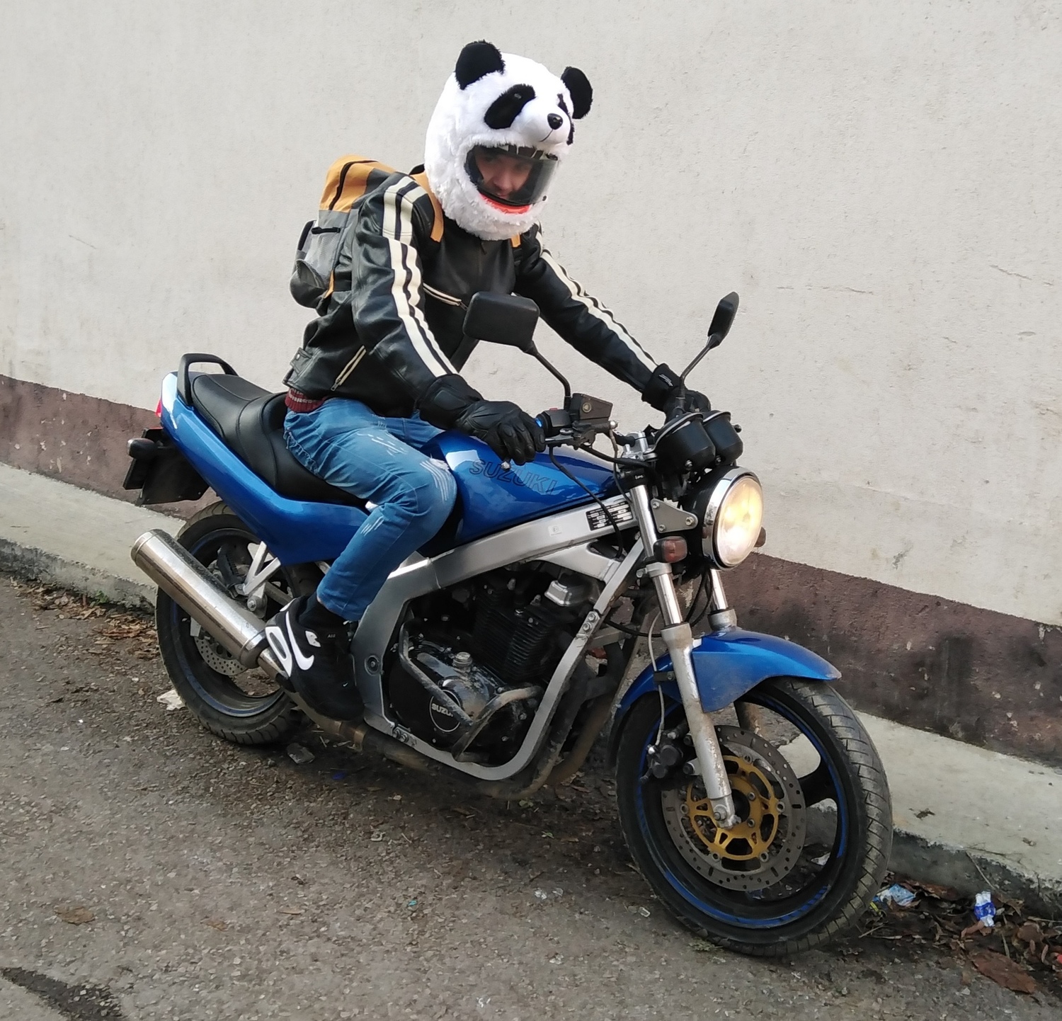 Photo 2816951