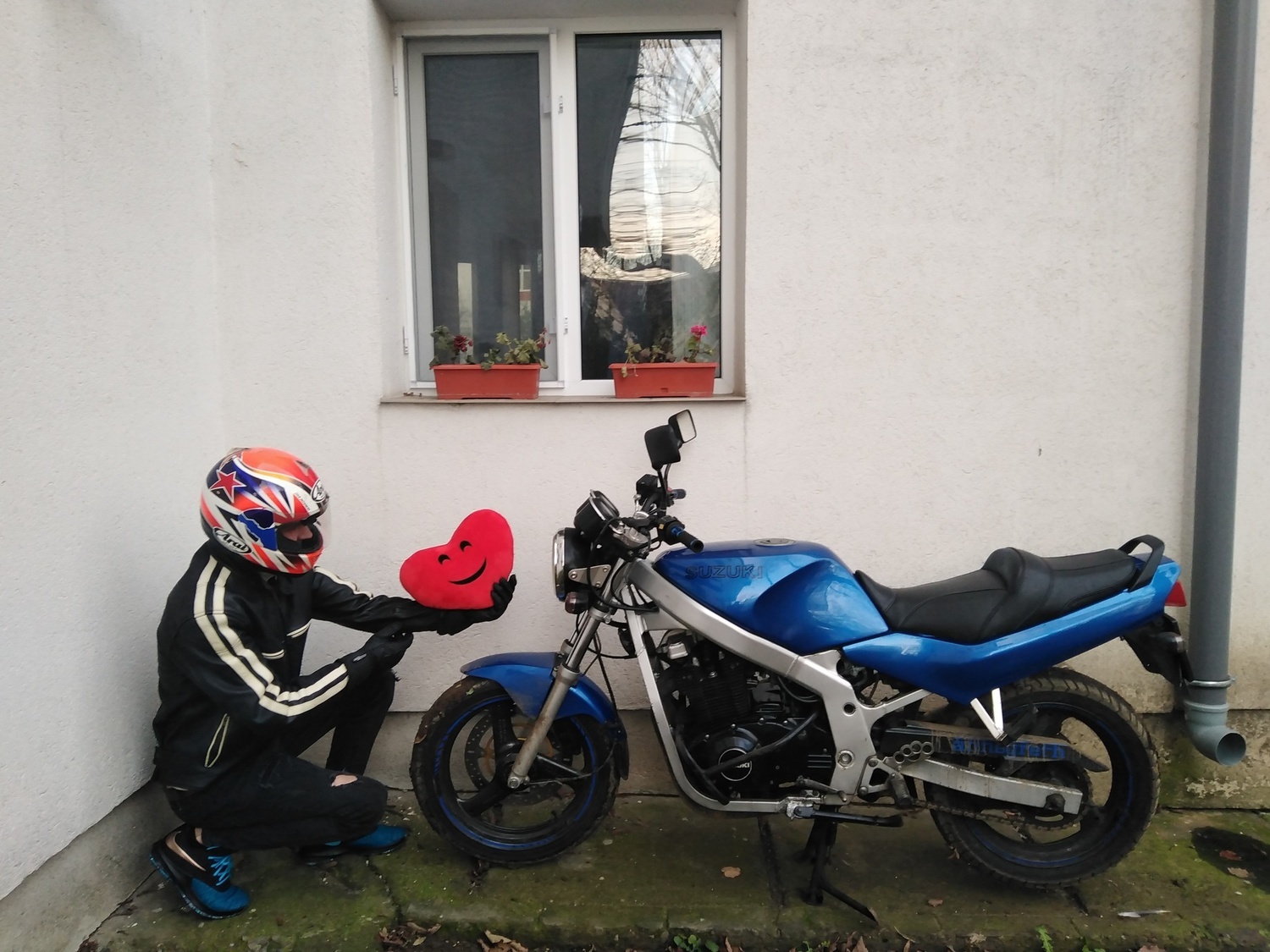 Bike Photo 2816952