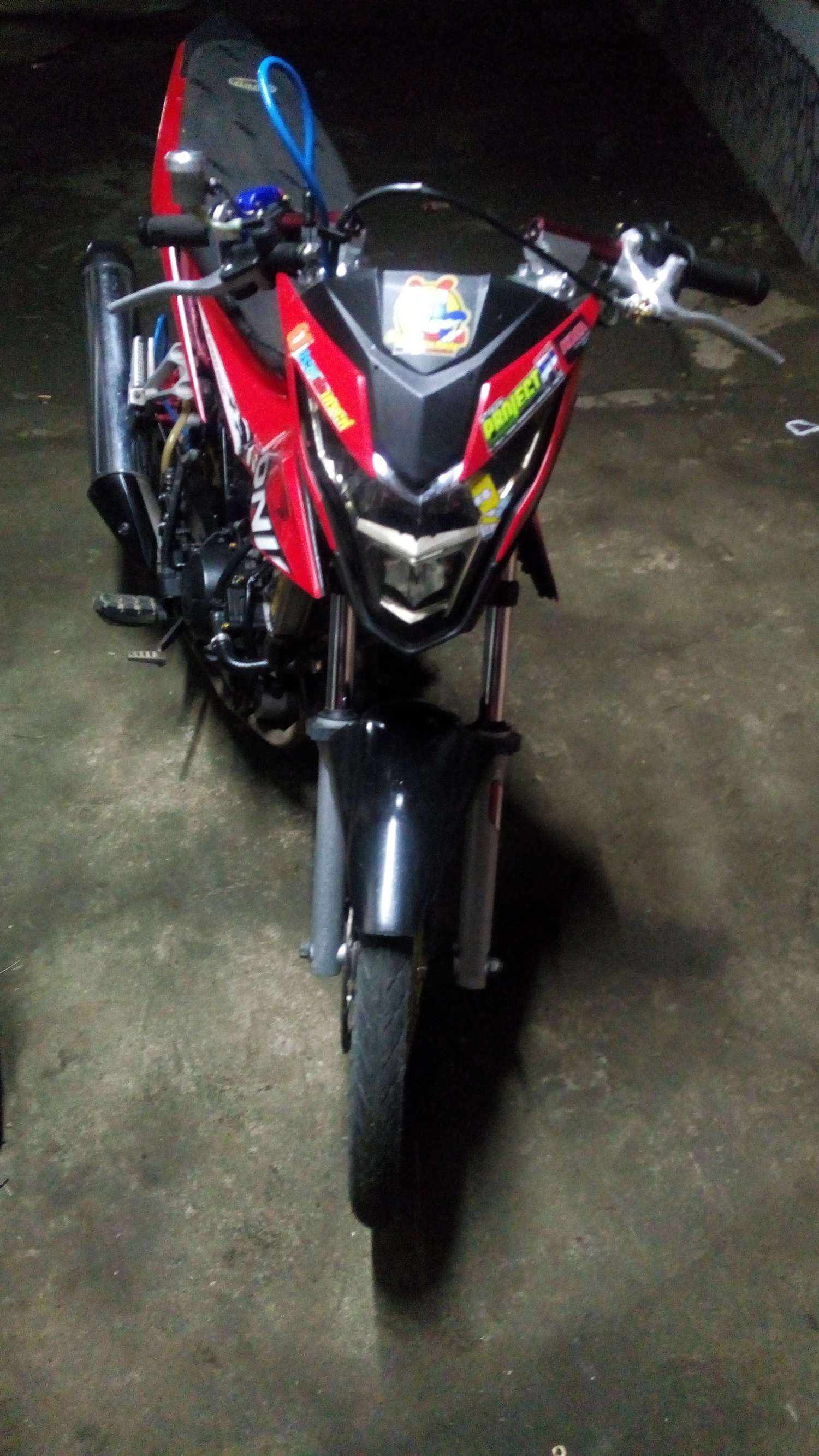 Photo 2816956