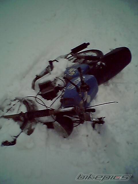 Photo 281699