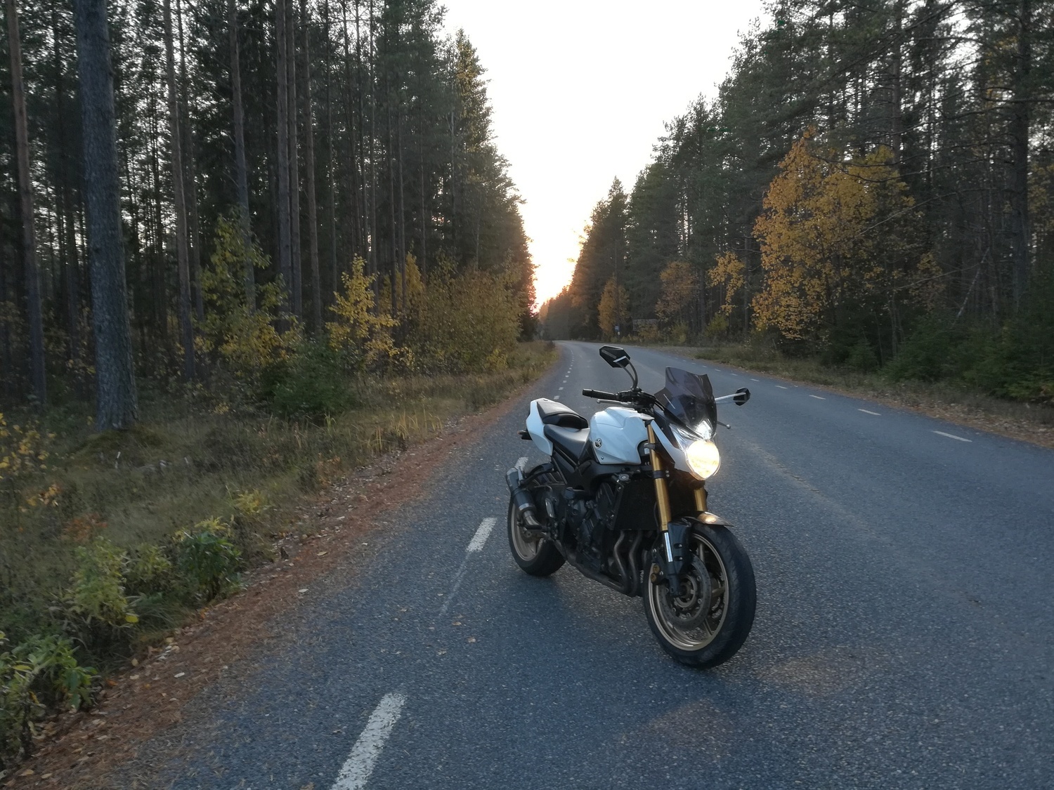 Photo 2816992