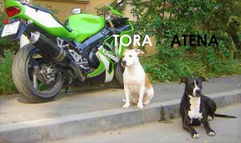 Photo 2817226