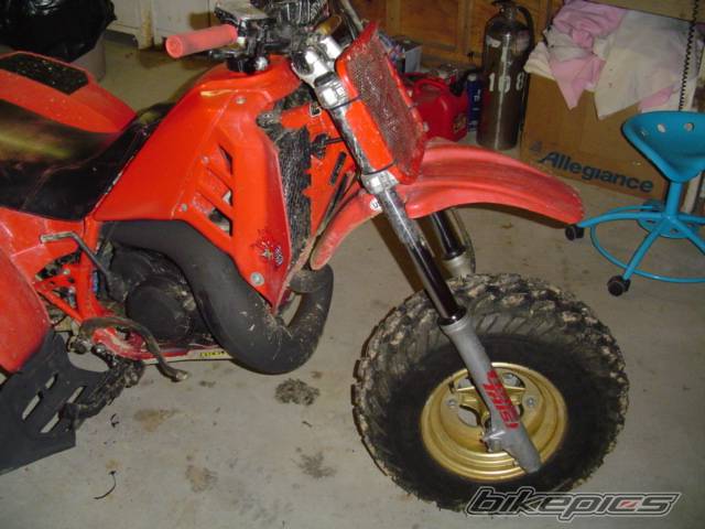 Bike Photo 281730