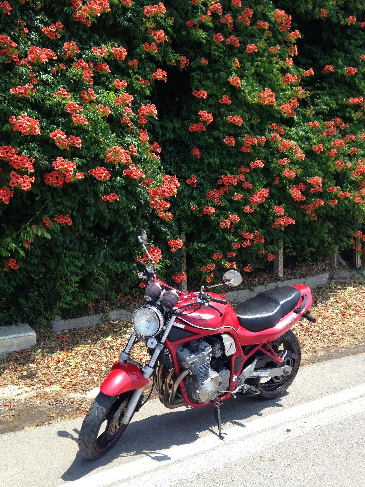 Bike Photo 2817320