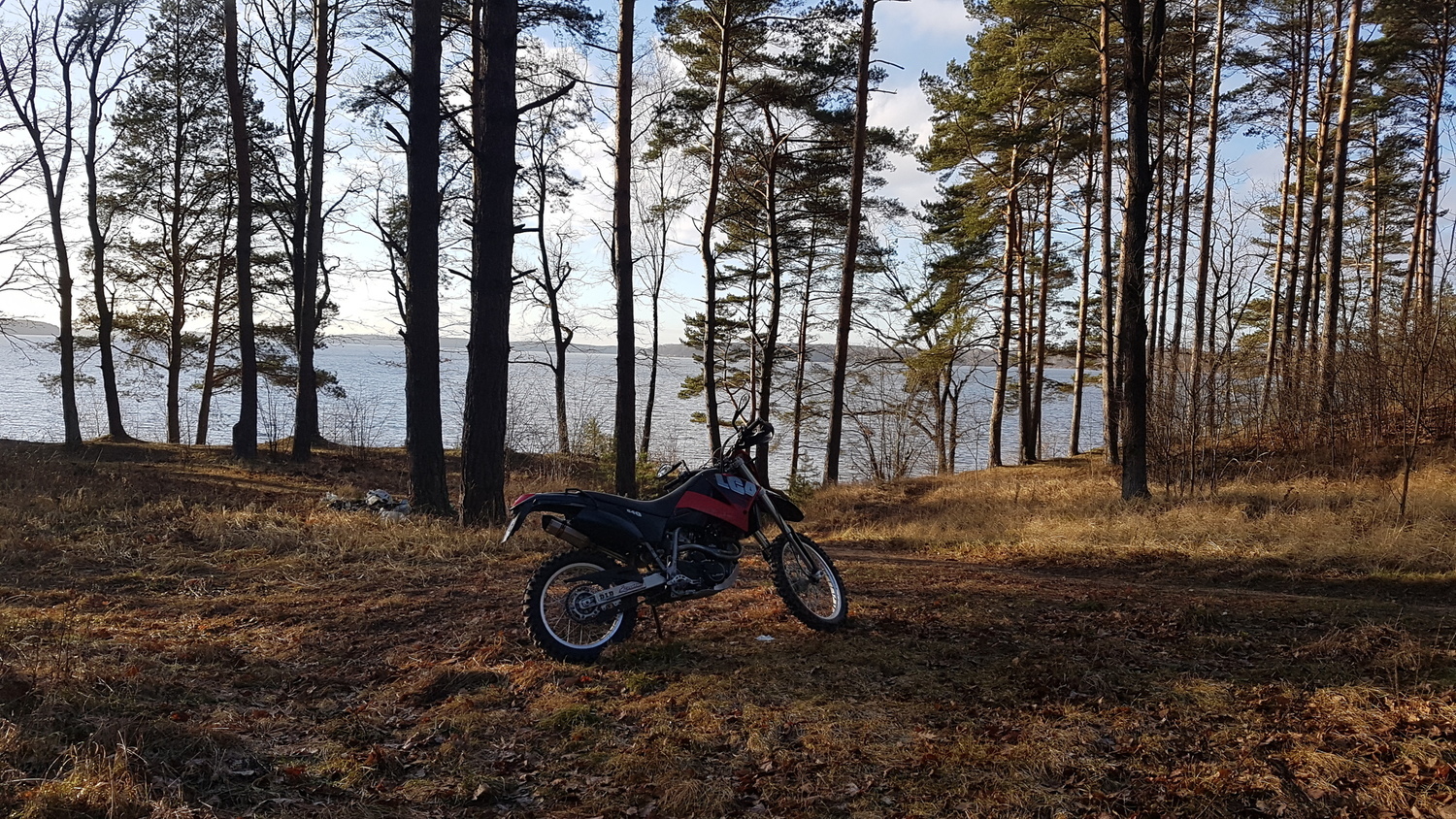 Photo 2817332
