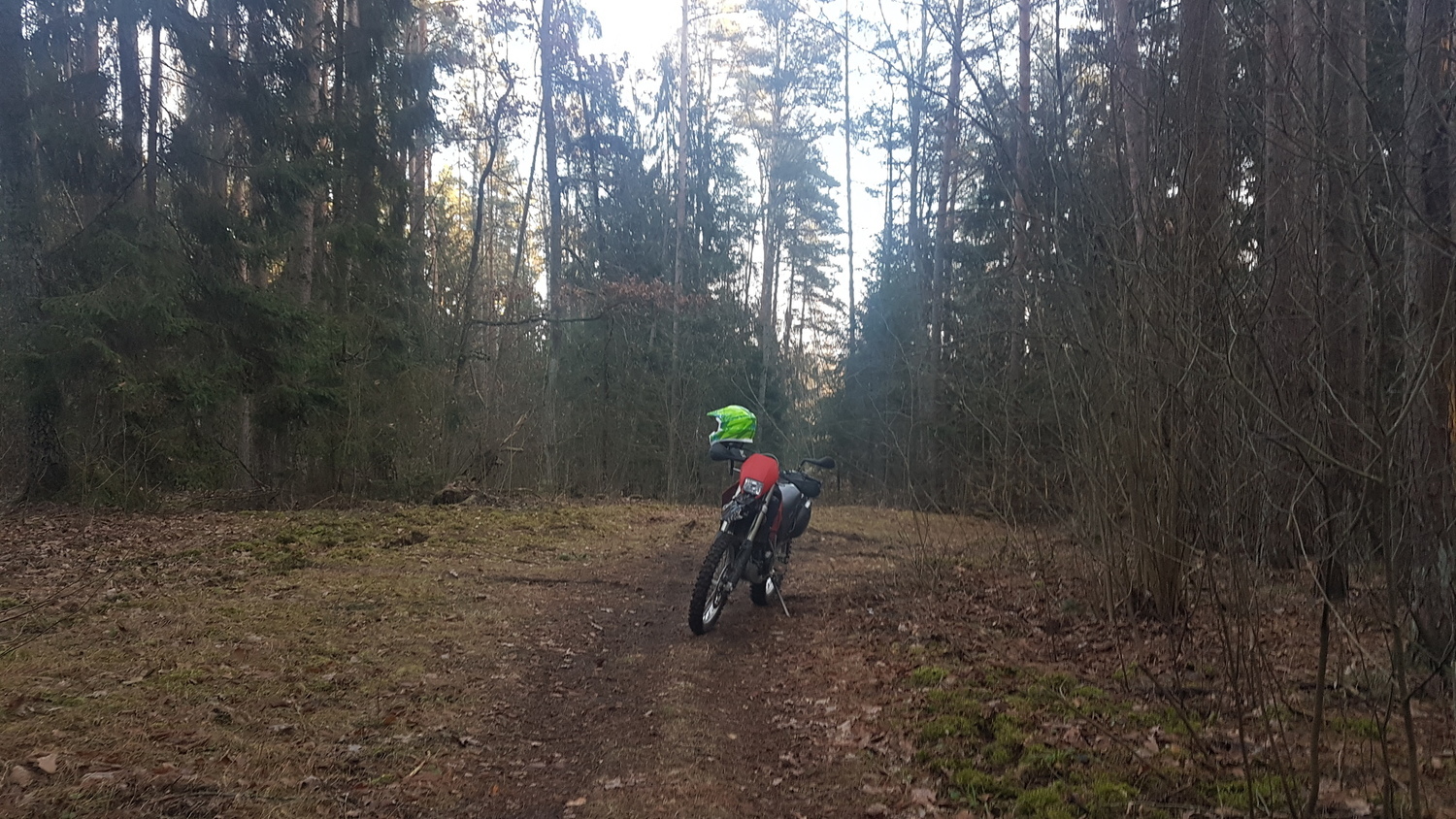 Photo 2817334