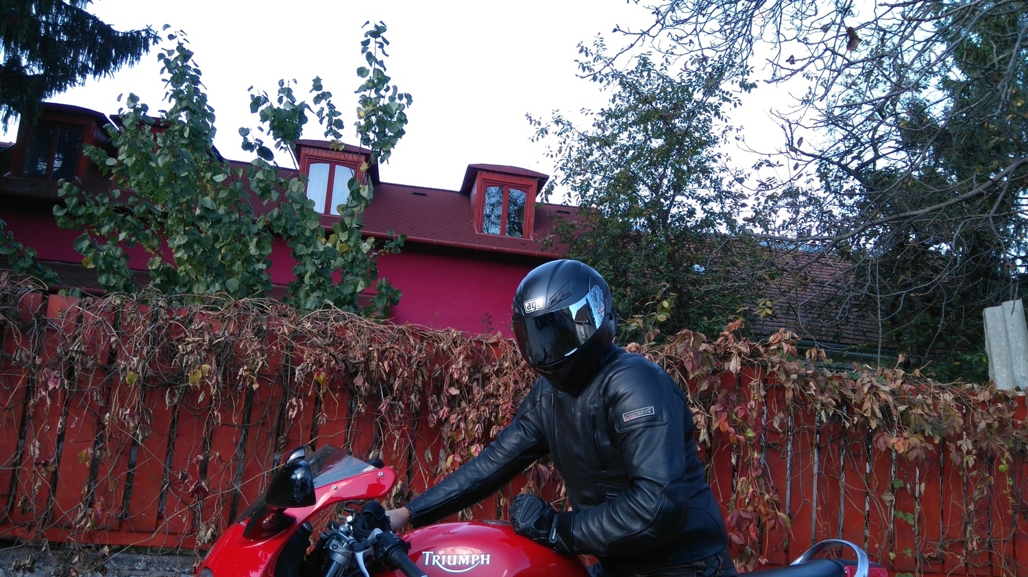 Photo 2817360