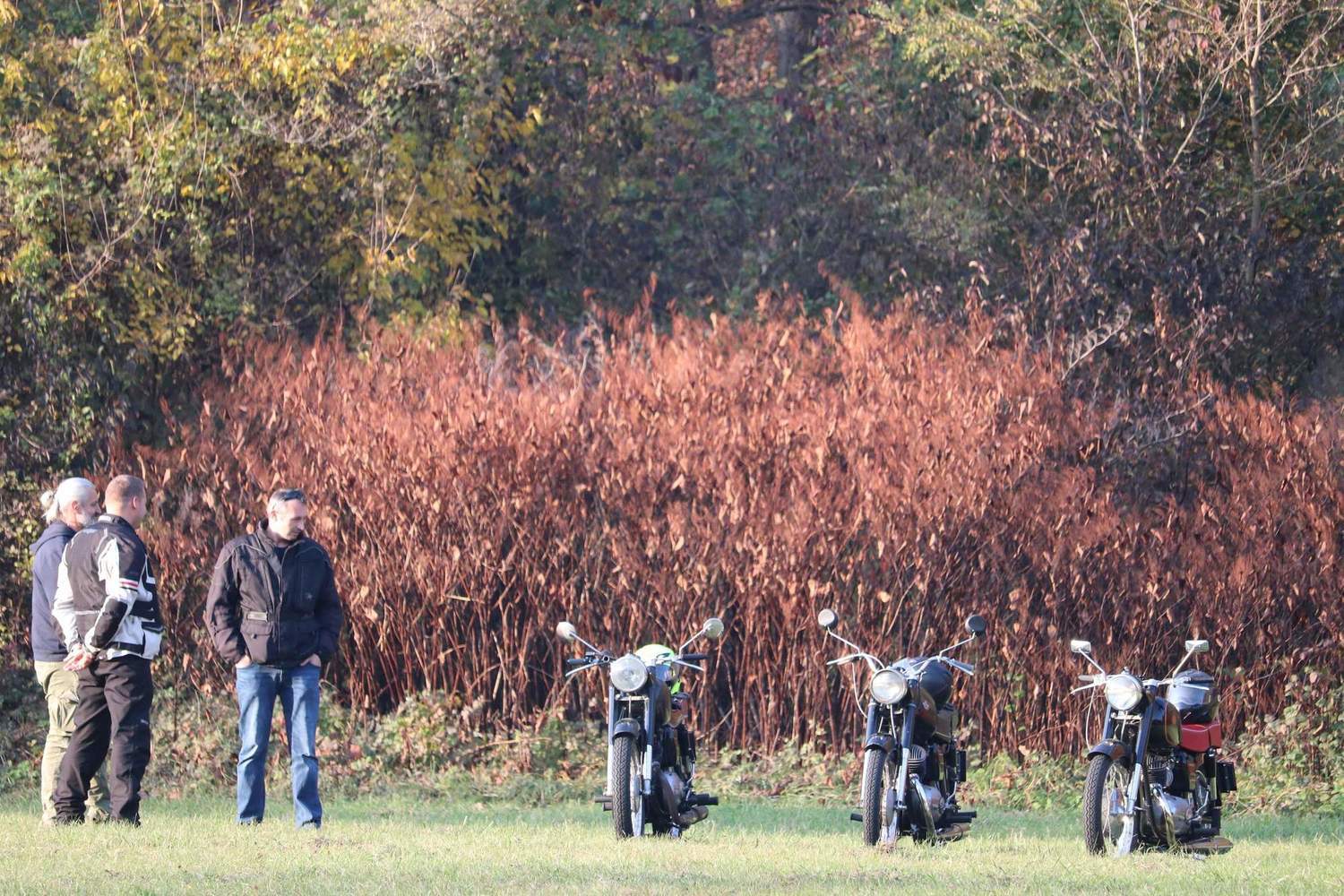 Bike Photo 2817365