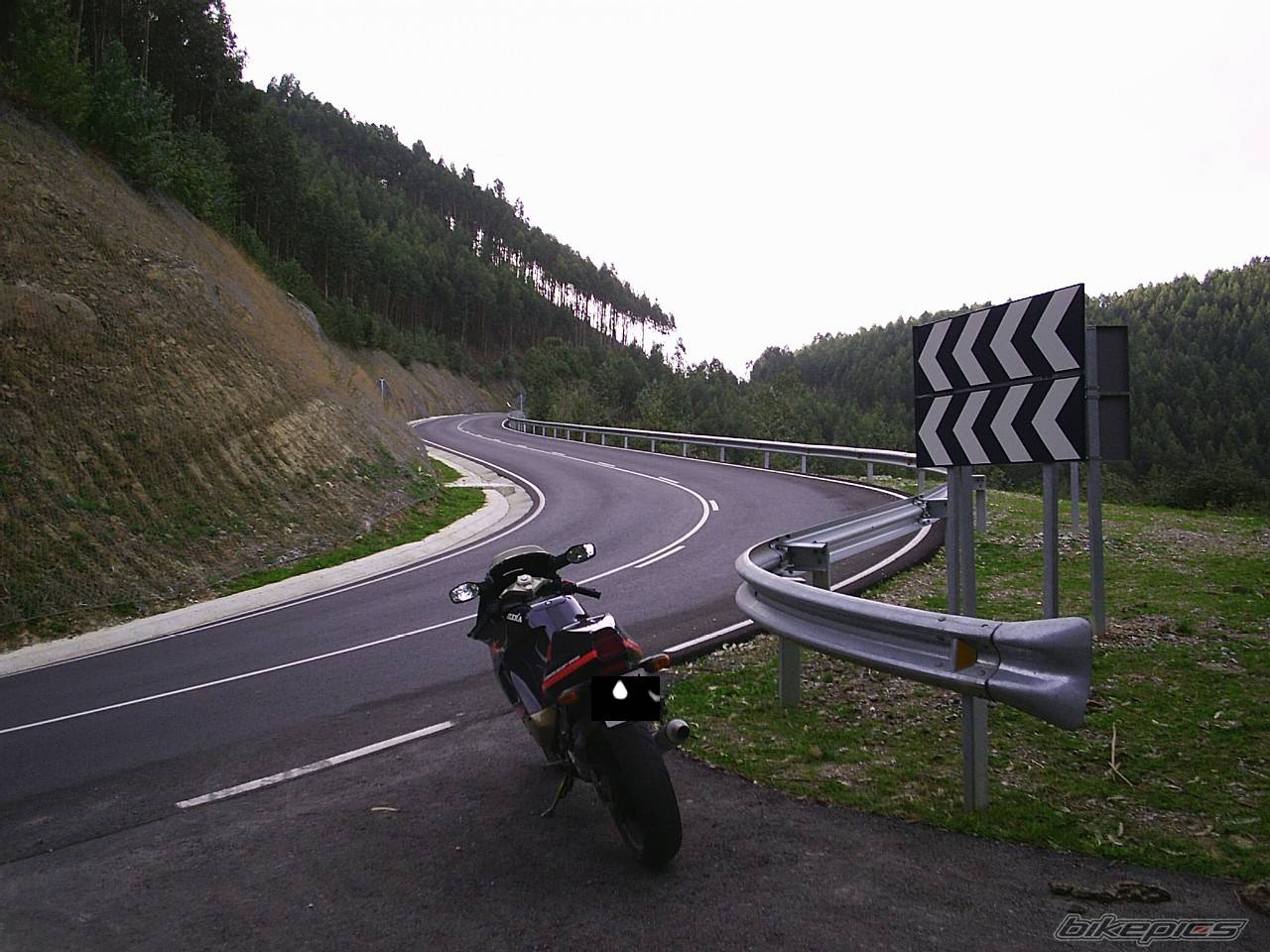Photo 281737