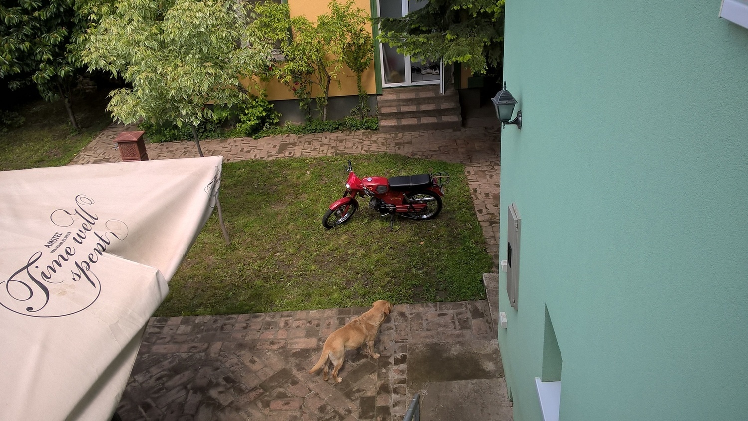 Photo 2817436