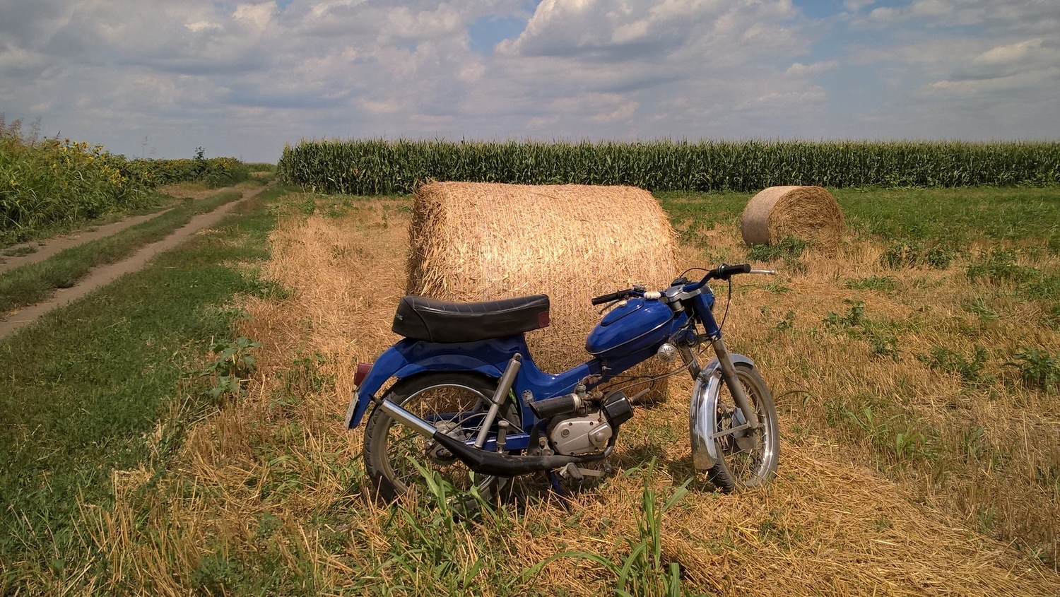 Photo 2817547