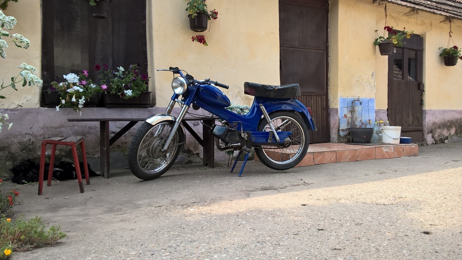 Photo 2817549