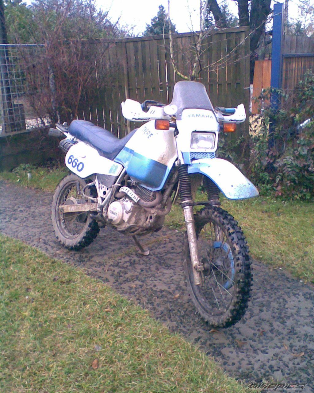 Photo 2817583