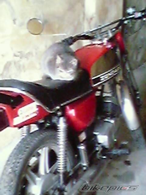 Photo 281762