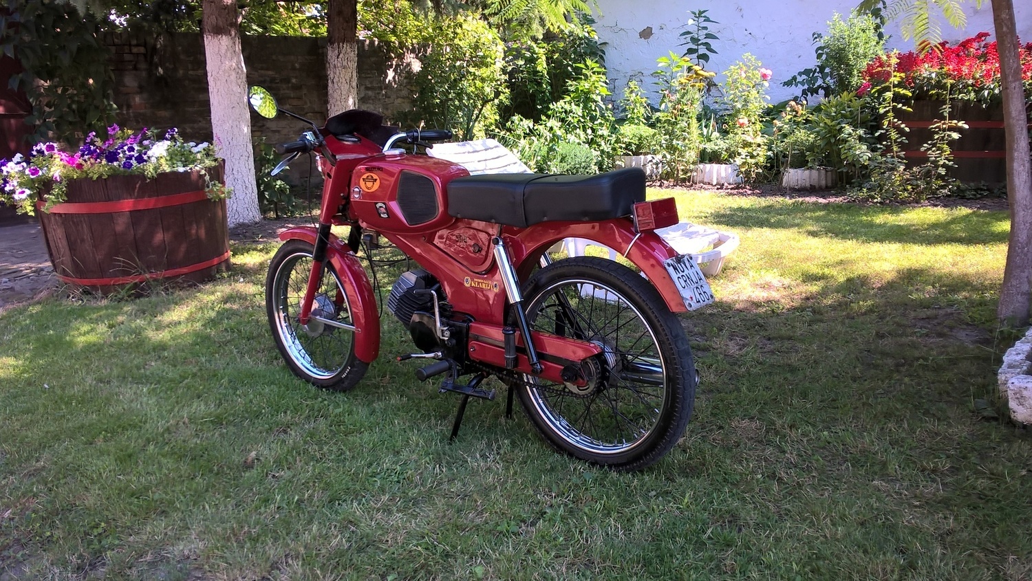 Photo 2817655