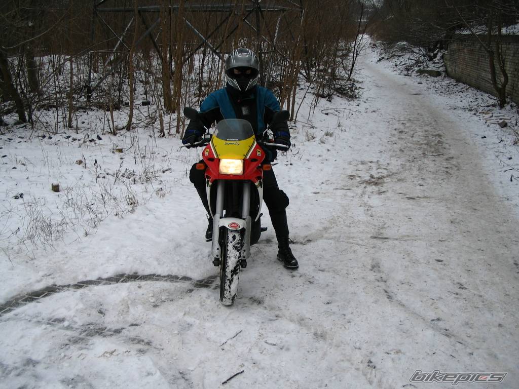 Photo 281772