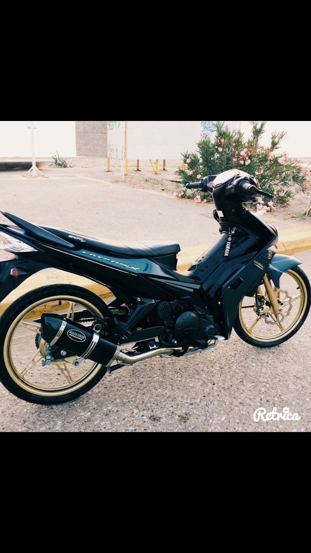 Photo 2817906