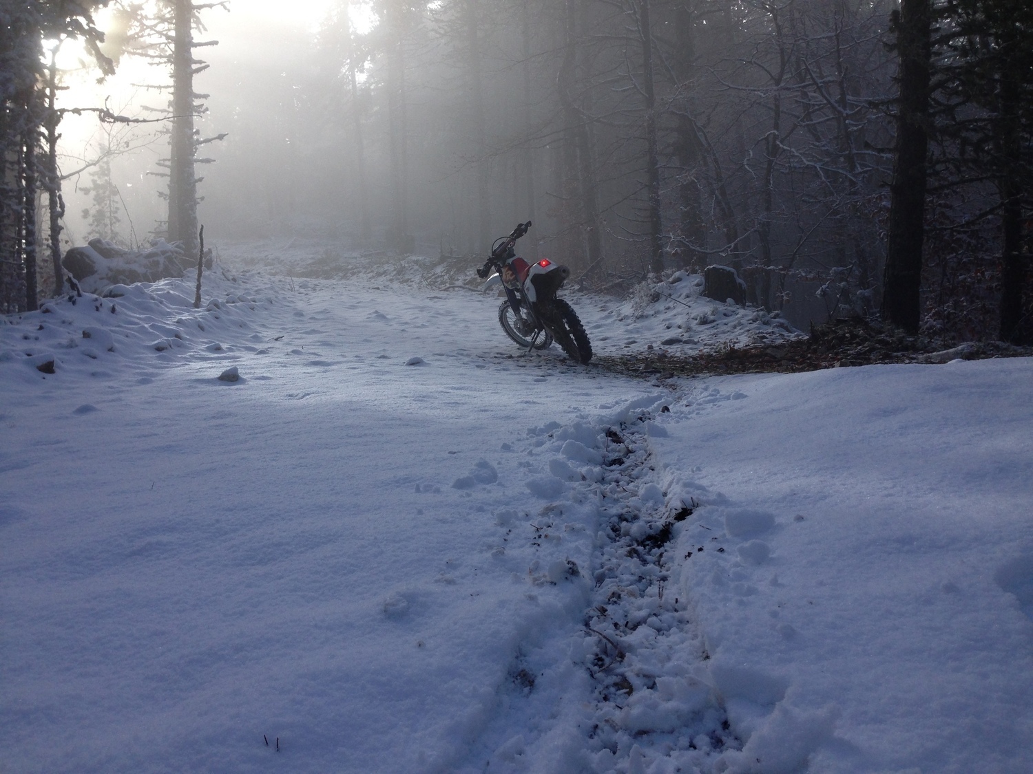 Photo 2817978