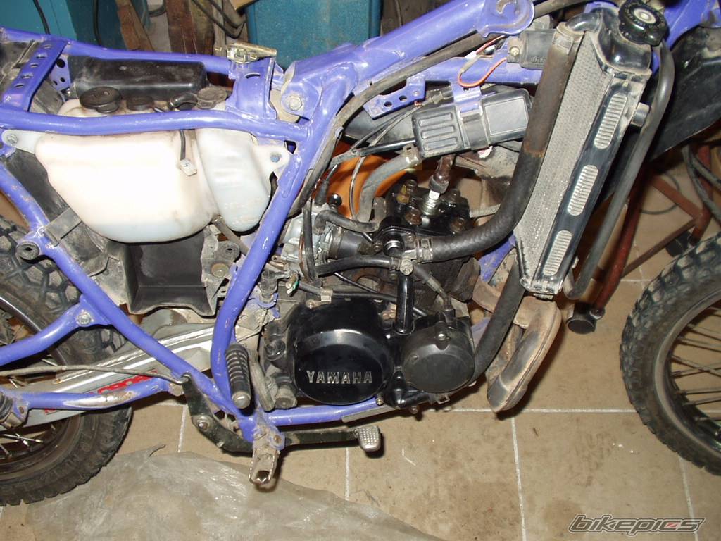 Bike Photo 281819