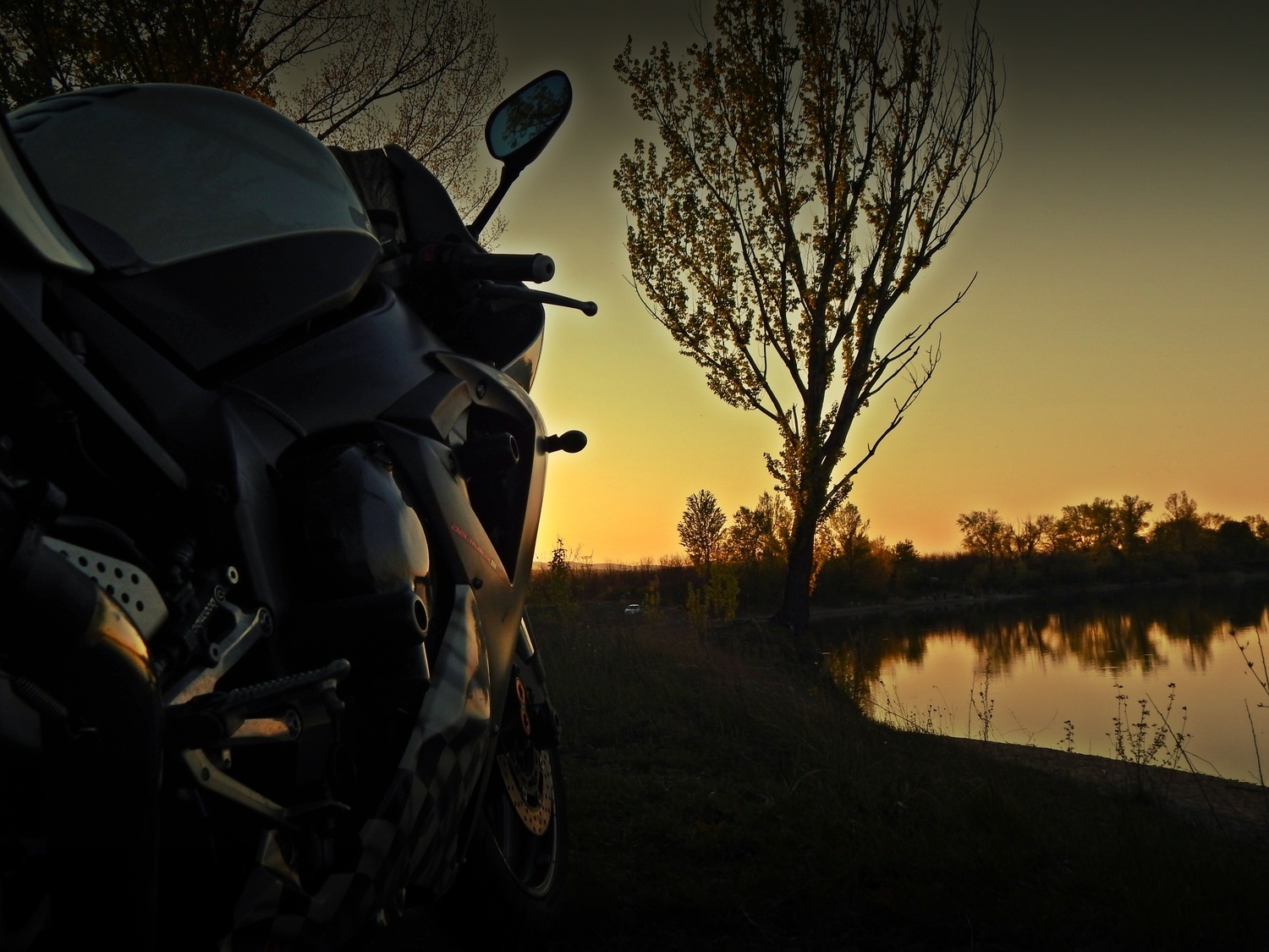 Photo 2818222
