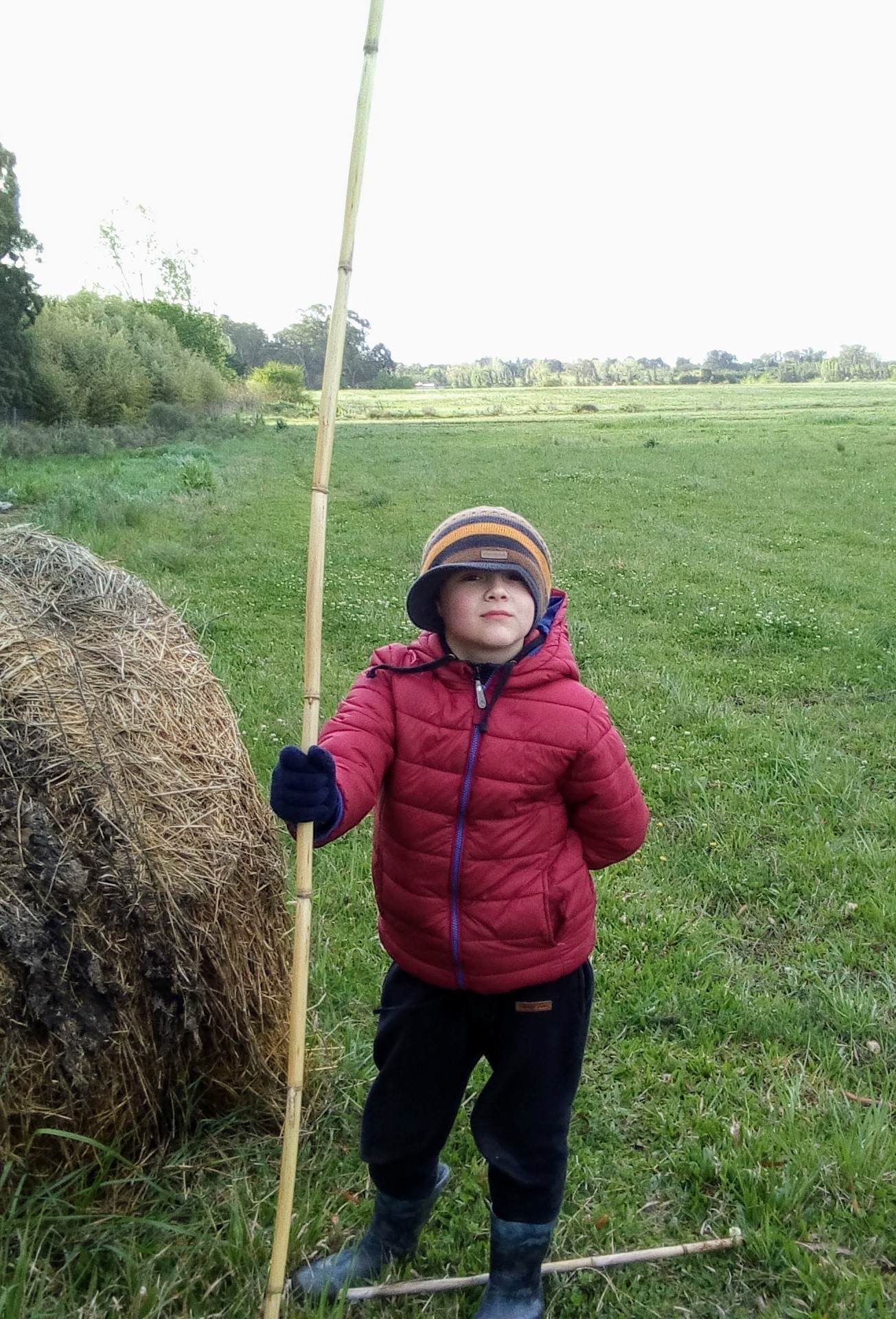 Photo 2818293