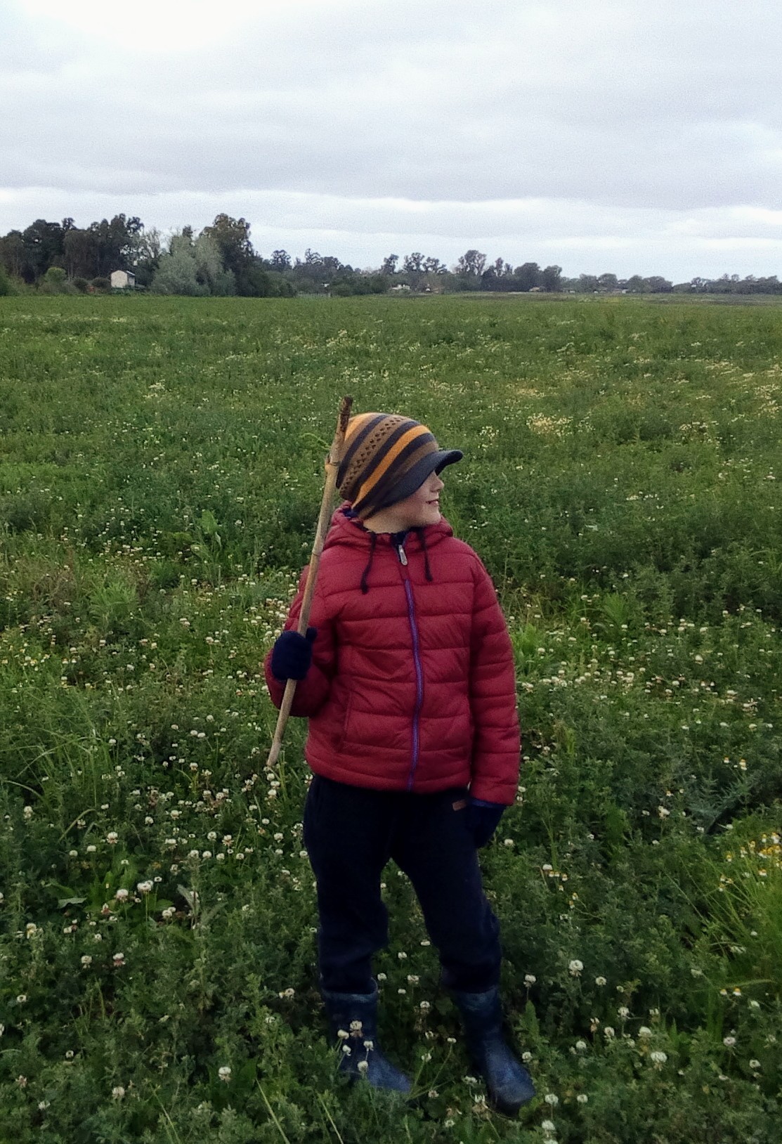 Photo 2818294