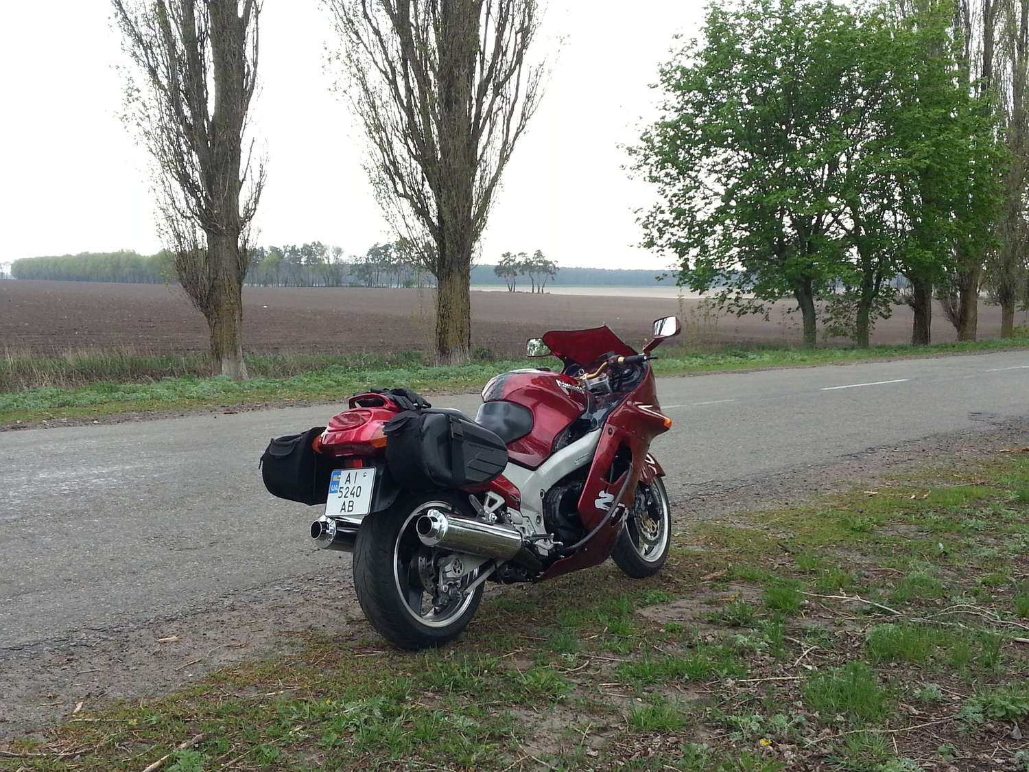 Photo 2818307