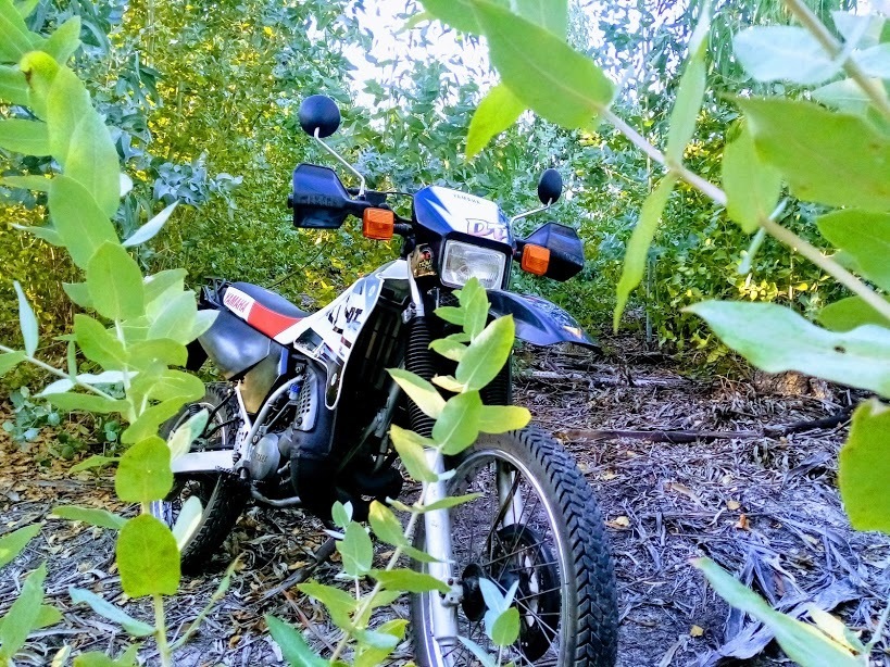 Photo 2818352