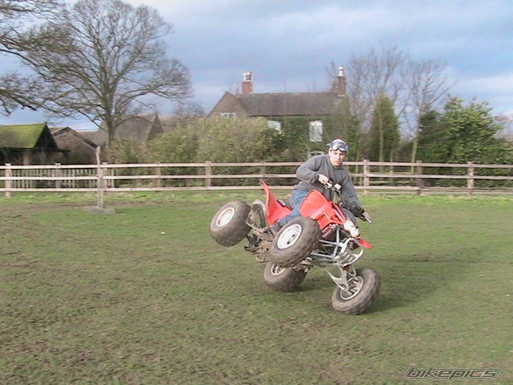 Photo 281841