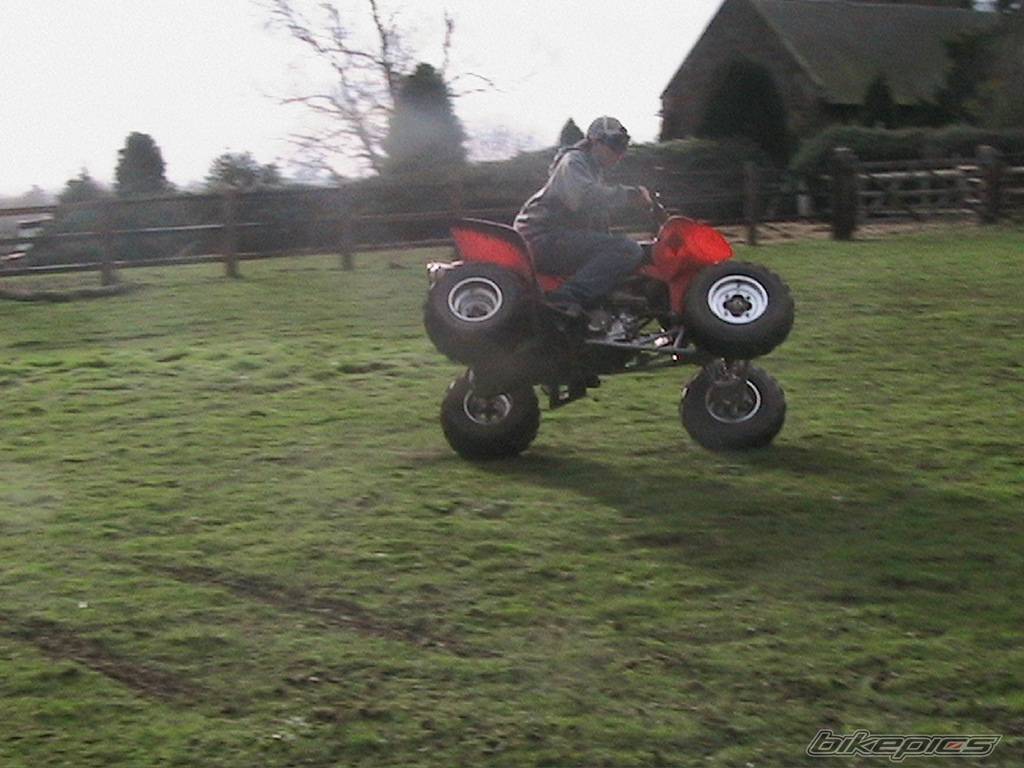 Photo 281842