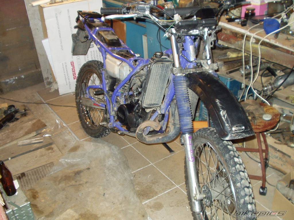 Bike Photo 281848