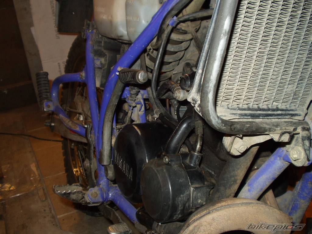 Bike Photo 281849