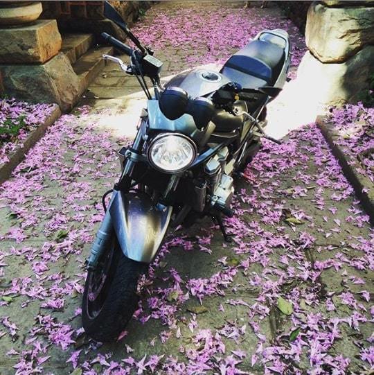 Bike Photo 2818513