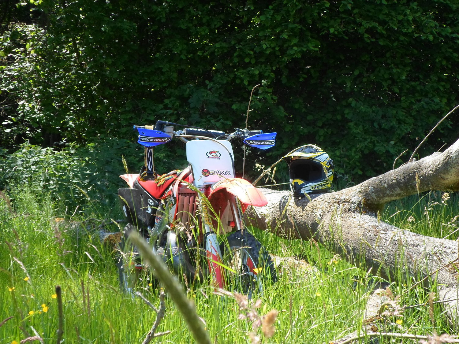 Bike Photo 2818593